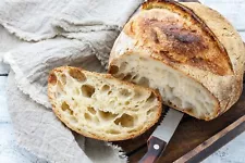 Boudin's Bakery San Francisco Sourdough Starter Maintained Since 1849 STRONG