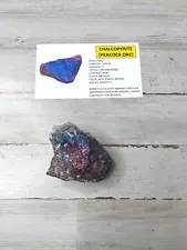 Large Teal and Blue Peacock Chalcopyrite or Peacock Ore 280 grams