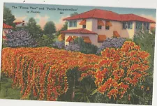 Flame Vine & Purple Bougainvillea-Florida-FL