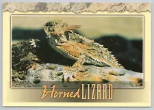 Postcard Horned Lizard