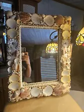 Mirror Natural Seashell 19.75" x 15 3/8" Rectangle Beach Decor Frame