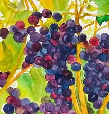 Wine Grapes Original Watercolor Painting Grape Merlot Fruit On The Vine Vineyard