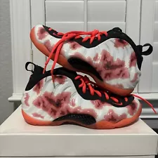 Size 9.5 - Nike Air Foamposite One Prm Thermal Map