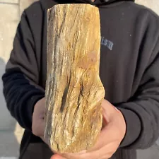 4.7lb Large Beautiful polished Arizona petrified wood rough mineral specimen