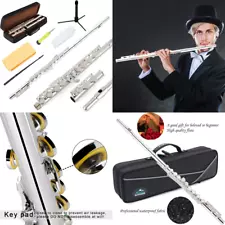 Silver Plated C Flute Instrument Kids Student Closed Hole Flutes 16 Keys Music