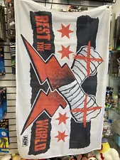 AEW CM Punk Banner Flag 58x35.5 Wrestling WWE Wrestler