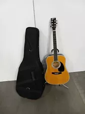 Estaban American Legacy acoustic/electric guitar in hard case