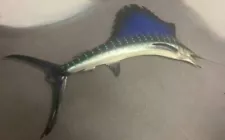 Taxidermy 9ft Sailfish Caught In Mid 1970s Mexico /California Border