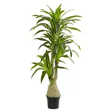 Dracaena Artificial Plant 49UeMHr_zIT_NER1Co3lygsTD8mU7mBs