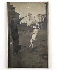 RPPC Pit Bull Bully Breed Dog Jumping For Stick Real Photo Postcard