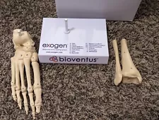 EXOGEN BIOVENTUS FOOT ANATOMIC DISPLAY MODEL SMK-001898