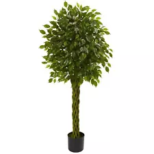 5' Ficus Tree W/Braided Trunk UV Resistant (Indoor/Outdoor)