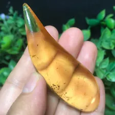 13g Genuine Baltic Amber Polished Nugget Insect Inclusion Rare Specimen 08