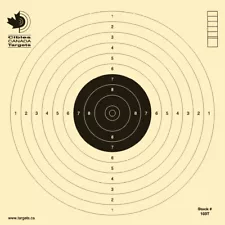 CCT Practice 17x17cm Air Pistol 10 meters Targets Olympic ISSF shooting