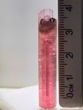 27.85 Ct Red Colour Well Terminated Tourmaline Crystal From Afghanistan