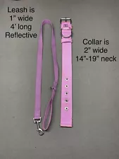 BULLY BILLOWS COLLAR WITH BOOTS & BARKLEY LEASH (See Description)