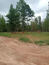 Georgia Clean Moist Red Clay From Our Home Ranch