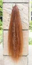 Horse Tail Extention Single Thickness Hair Chestnut sorrel 28-30" 3/8Lb aC1H