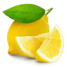 50 Lemon Seeds Lemon Tree Seed Citrus limon Heirloom Organic