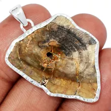 Natural Rare Blue Forest Petrified Wood 925 Silver Pendant Jewelry CP55527