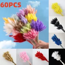 60pcs Rabbit Tail Grass Bunny Tails Dried Flowers Lagurus Ovatus Plant Stem Gift