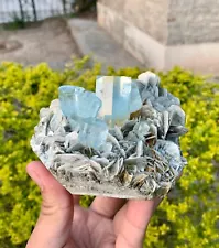 845 Gram Fantastic Blue Aquamarine Bunch On Muscovite Matrix From Nagar Pakistan