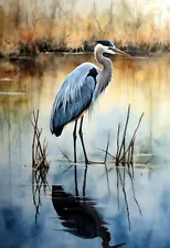 "Blue Heron 4" 13" x 19" Fine Art Print Limited to Only 20 Hand-Numbered Copies