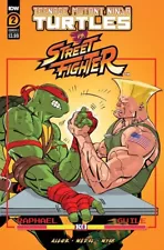 TMNT VS STREET FIGHTER 2 CVR C NM LOT OF 10 COPIES WAREHOUSE SALE IDW 2023