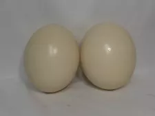 Authentic Two Ostrich Egg Blown Shells, Empty, Bird Collectable Large, Approx 6"