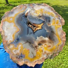 Kentucky Agate Geode - Estill County - Golden, Gray, Red, Pyrite - Rock Rewards