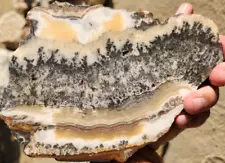 Silver Lace Onyx Plume Rough Rock Slab Barstow CA 7"X5"X3/16" 460 Gram See Video