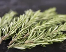 rosemary sprigs for sale