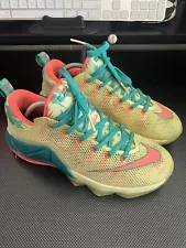 Size 9.5 - Nike LeBron 12 Low LeBronold Palmer