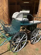 "Falcon" Custom Marathon Carriage with Pole for pair. Good condition w/2 Harness