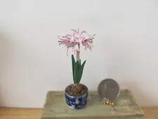 Artisan Amaryllis Lily Plant Flower Pottery Arrangement Dollhouse Miniature 1:12