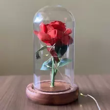 Disney Beauty and the Beast Enchanted Red Rose Glass Dome with Fairy Lightsð¹