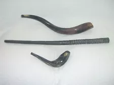 Shofars For Sale 3- Shofar Kudu Yemenite antelope + Oryx Gemsbok + Ram Horn Rams