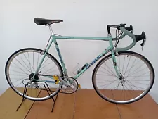 Bianchi campione del mondo Years 90 campagnolo Bike eroica Vintage