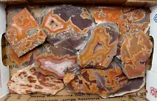 16 Ounces (1 Pound) Dryhead Agate Slabs Tumble or Cab Southern Montana