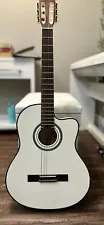 Ortega Electric Flamenco Guitar with hard case