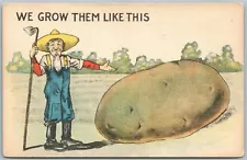 EXAGGERATED ANTIQUE POSTCARD POTATO farming WE GROW THEM LIKE THIS