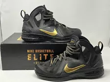 Size 12 - Nike LeBron 9 P.S. Elite Away 2012 With Box Strive For Greatness