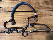 Reinsman Little S Hackamore Western Hackamore Western Big EUC (2 Of 2)