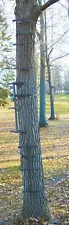 Quick Tree Climbing Sticks with 8' Aider Ladder Steps for Treestands - (3 Pack)