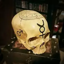 Alchemy Skull, Pentagram Skull, Real Human Skull Replica, Astrology Skull