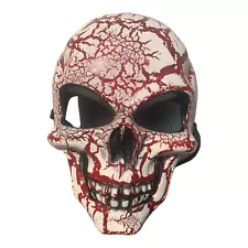 Day Of The Dead Skull Halloween Hard Plastic Mask