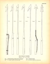 "THE WHALE FISHERY", HARPOONS Antique Fisheries engraving 1887