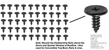 20 W/STRIP RAIL SCREWS! FITS: FORD FAIRLANE T-BIRD ZEPHYR MERCURY CHECKER PICKUP (For: 1953 Lincoln Capri)