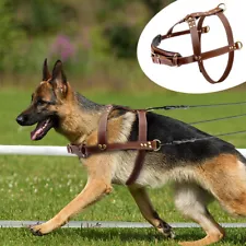 Real Leather Dog Harness Heavy duty Adjustable for Rottweiler Pitbull Mastiff US