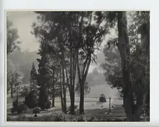 VINTAGE PHOTOGRAPH LINCOLN PARK LOS ANGELES CALIFORNIA PHOTO ORIGINAL